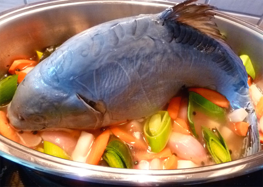 Unser Rezept zum närrischen Treiben: Karpfen blau mit Wurzelgemüse ...