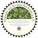 Feldsalate von der Insel Reichenau g.g.A.