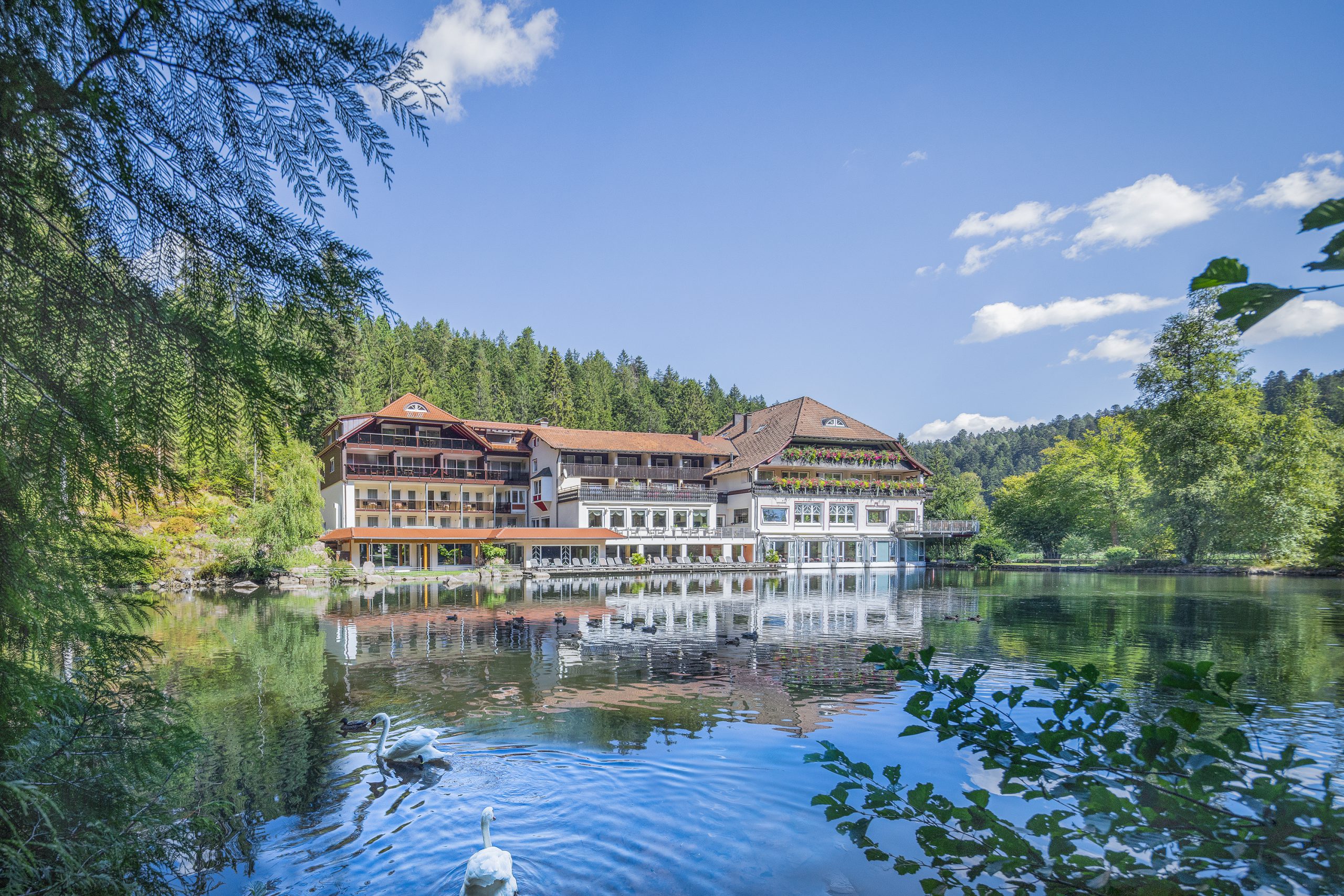 Bild 1 Hotel Restaurant Langenwaldsee