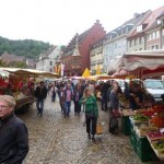 Freiburger Münstermarkt