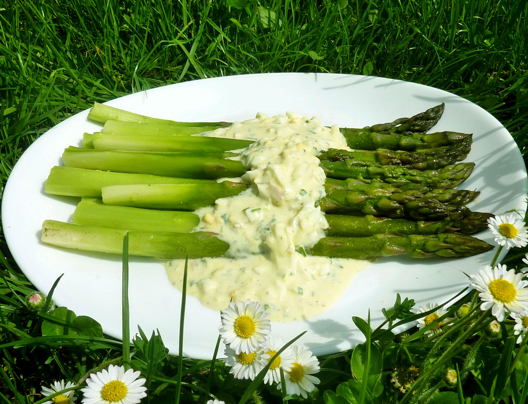 Spargel ‚grün‘ mit pikantem Eierdip