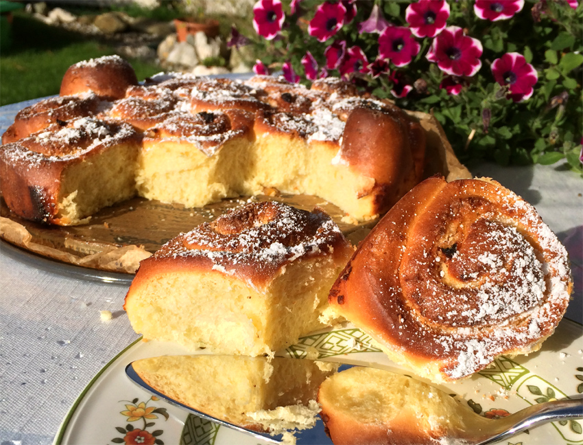 Rosenkuchen mit Aprikosen, Rosenwasser und Marzipan – Schmeck den Süden