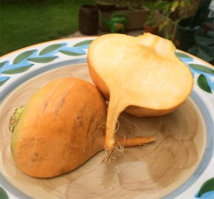 Cremiges Kürbis-Butterrübengemüse mit Basilikum-Zitronenpolenta und Kürbiskernöl