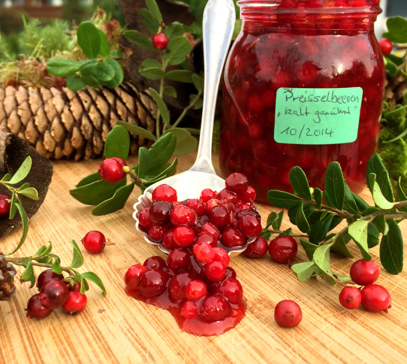 Kalt gerührte Preisselbeeren mit Limette und Ingwer