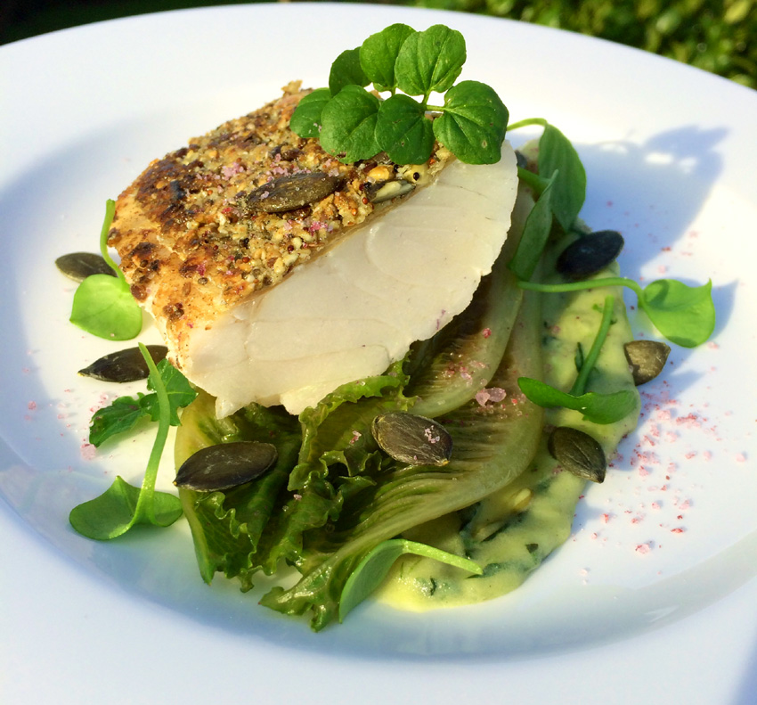 Zanderschnitte mit Nusskruste, gebratenen Salatherzen und Kartoffelpüree