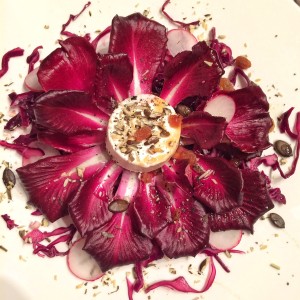 Nussiger Ziegenfrischkäse auf „Radicchio-Rose“ und mariniertem Rotkohlsalat