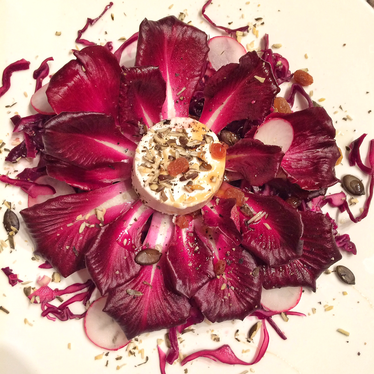 Nussiger Ziegenfrischkäse auf „Radicchio-Rose“ und mariniertem ...