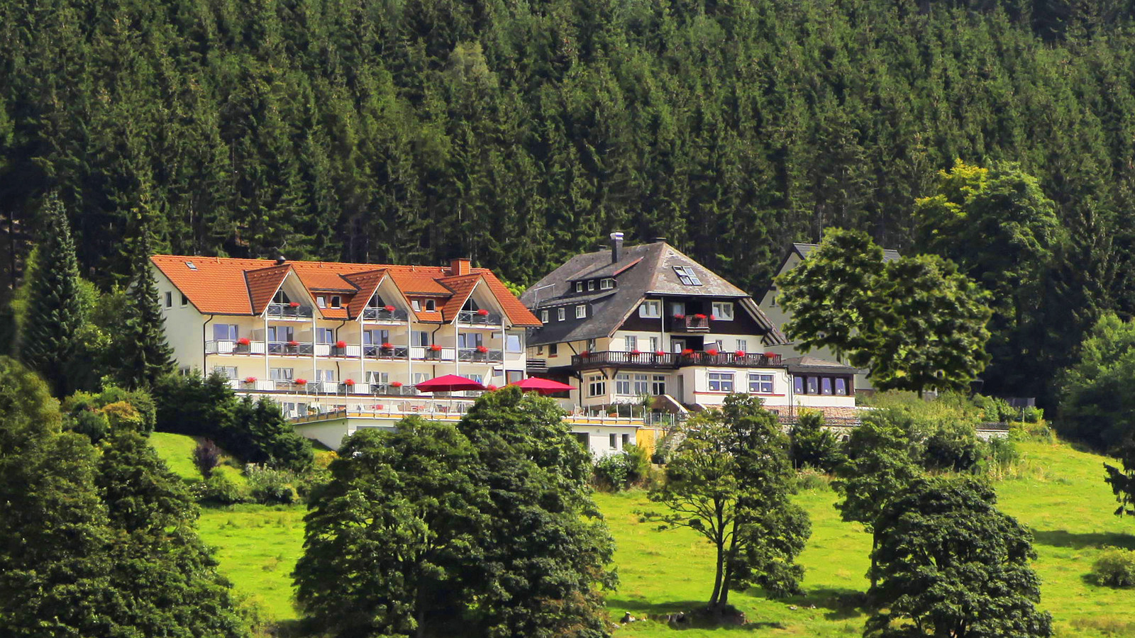 Bild 1 JUFA Hotel Schwarzwald *** Sonnhalde