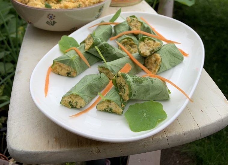 Lupinen-Laubfrösche (vegan)