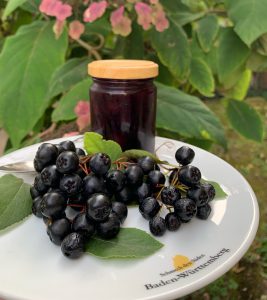 Aronia