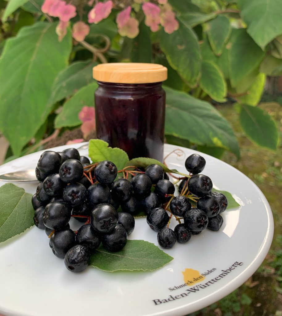 Fundstück der Woche: Aronia