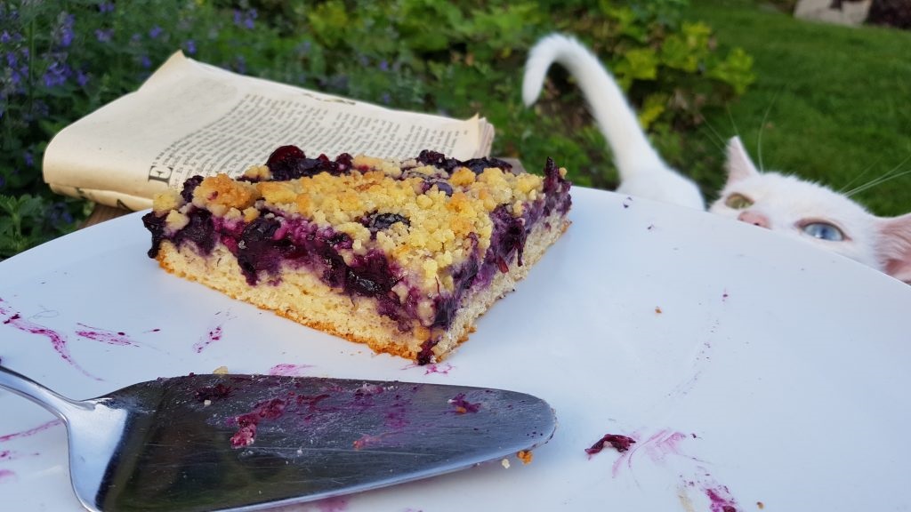 Blaubeerkuchen mit Streuseln