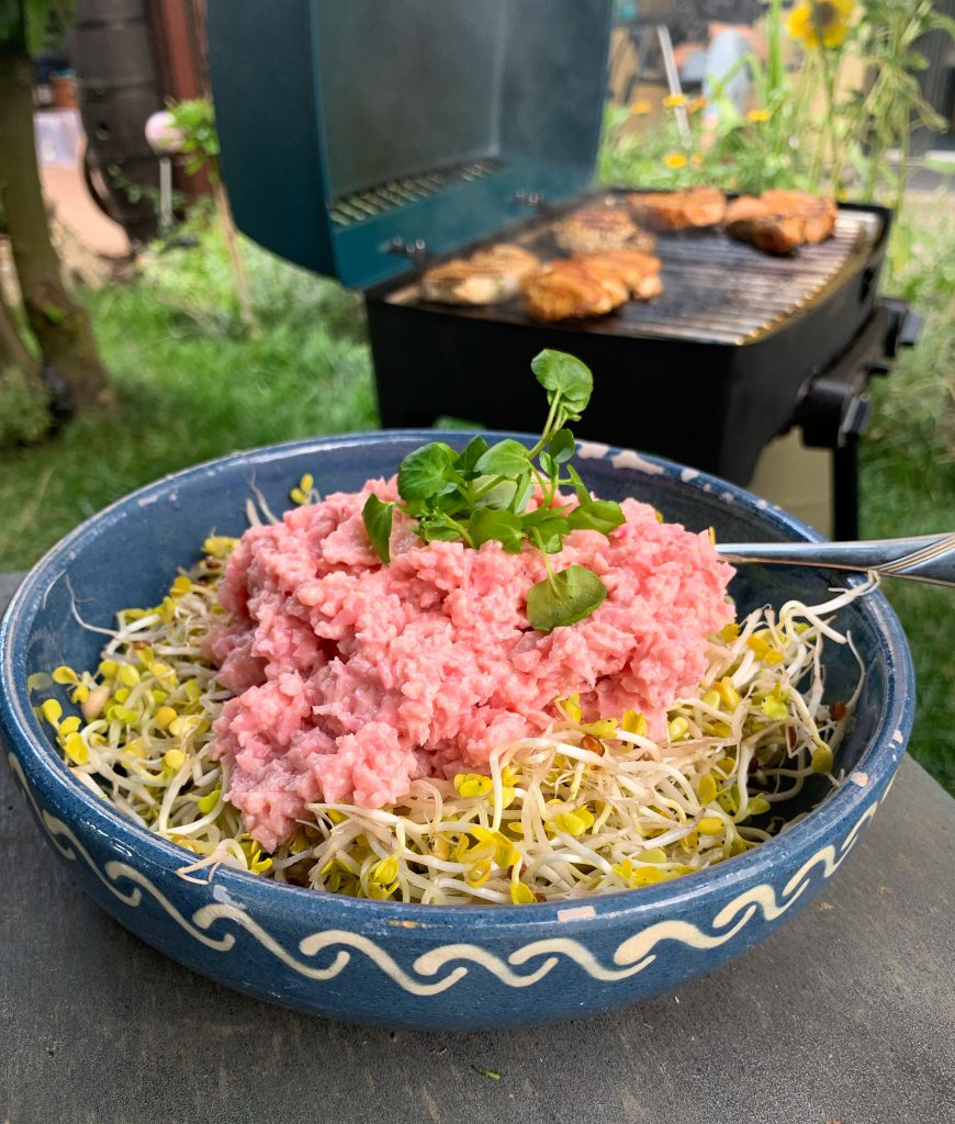 Blumenkohl-Betesalat auf Rettichsprossen