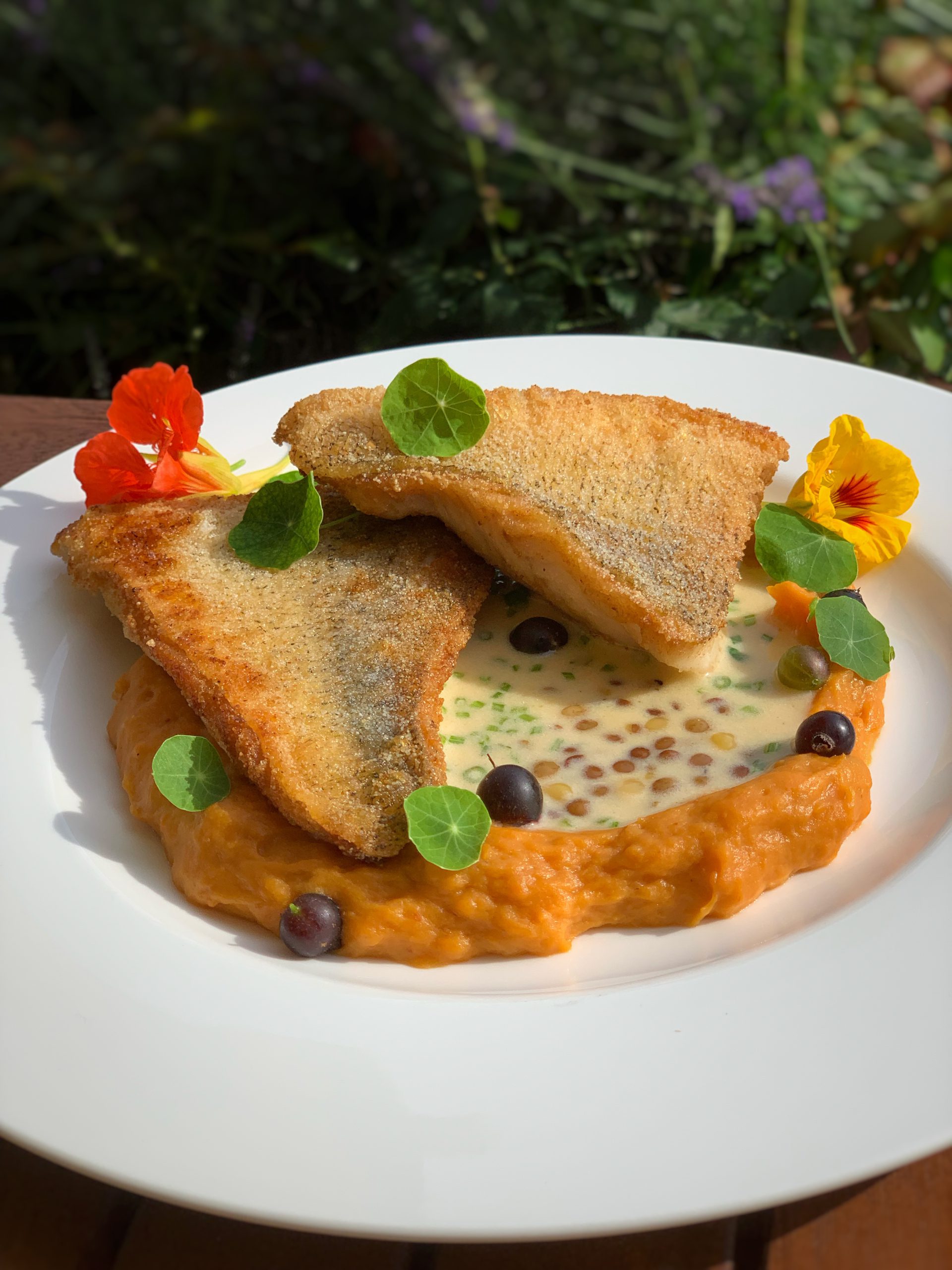 Zander mit Süßkartoffelpüree und Linsen Beurre blanc