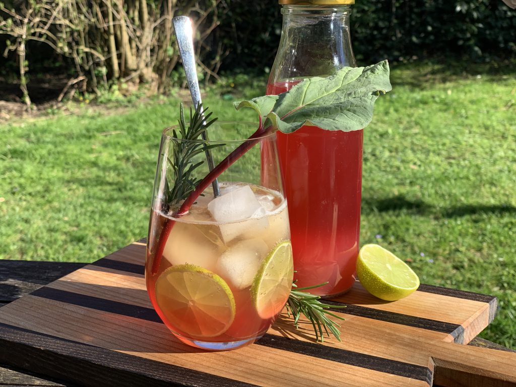Ein Glas mit Rhaber-Spritz, Eiswürfeln und Limettenscheiben sowie einem Löffel. Als dekoration ist ein Zweig Rhabarber und Rosmarin im Glas. Das Glas steht auf einem Holzbrett, das draußen im Garten steht. Auf dem Brett steht eine Flasche mit Rhabarbersirup und daneben eine halbe Limette. Im Hintergrund sieht man einen Rasen und den unteren Teil eines Busches.
