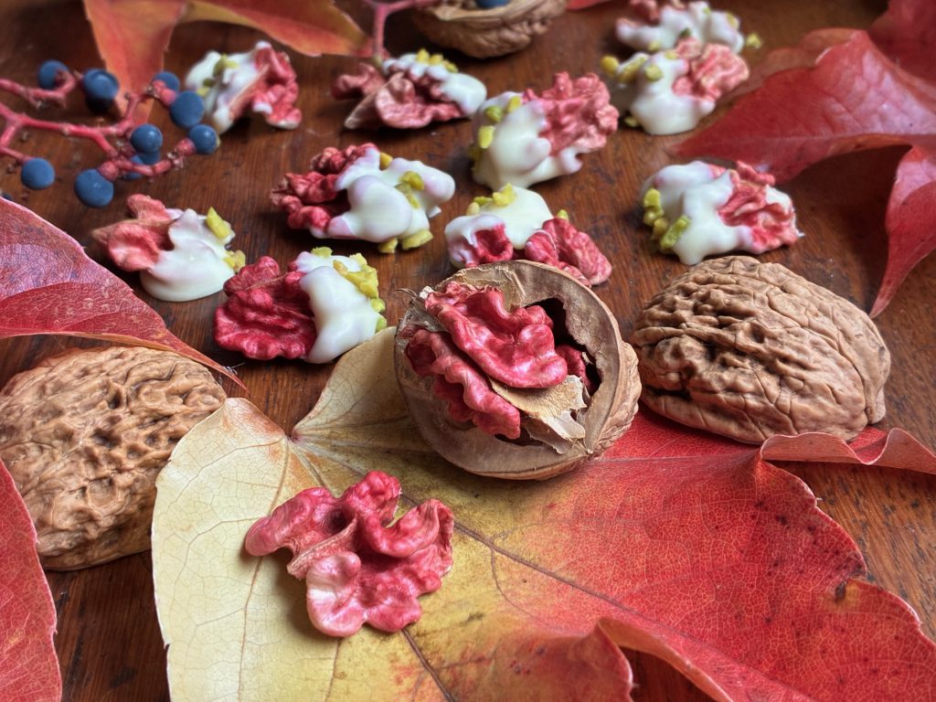 Rote Walnüsse teilweise in der Schale und aufgebrochen. Diese liegen auf roten Blättern, die auf einem Holzuntergrund liegen. Einige Walnusshälften wurden teilweise in weiße Schokolade getaucht und mit Pistazienstückchen bestreut.